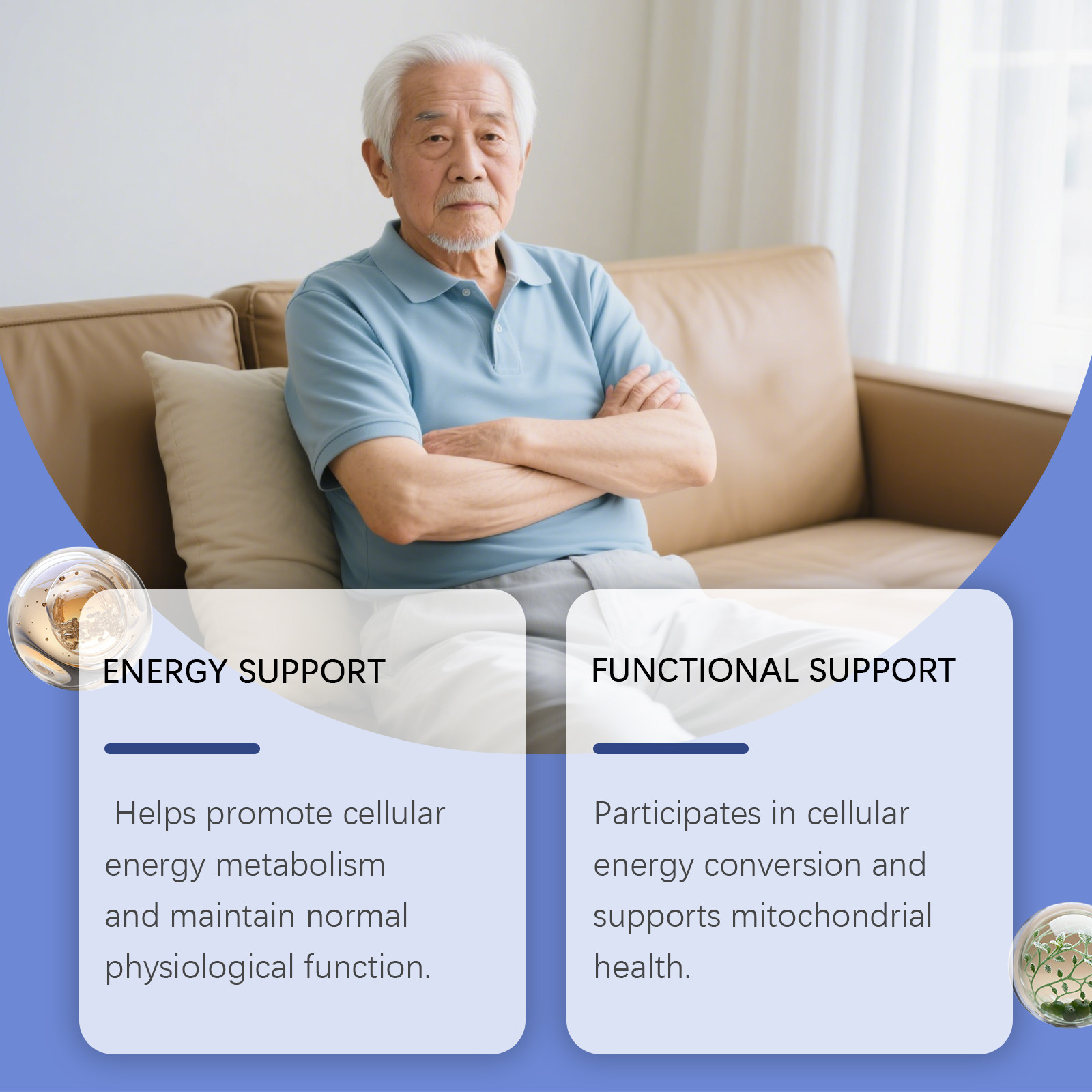 Gocce per il Miglioramento del - Nutrition Physical Fitness recensione e prezzo